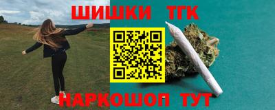 крисы Кулебаки
