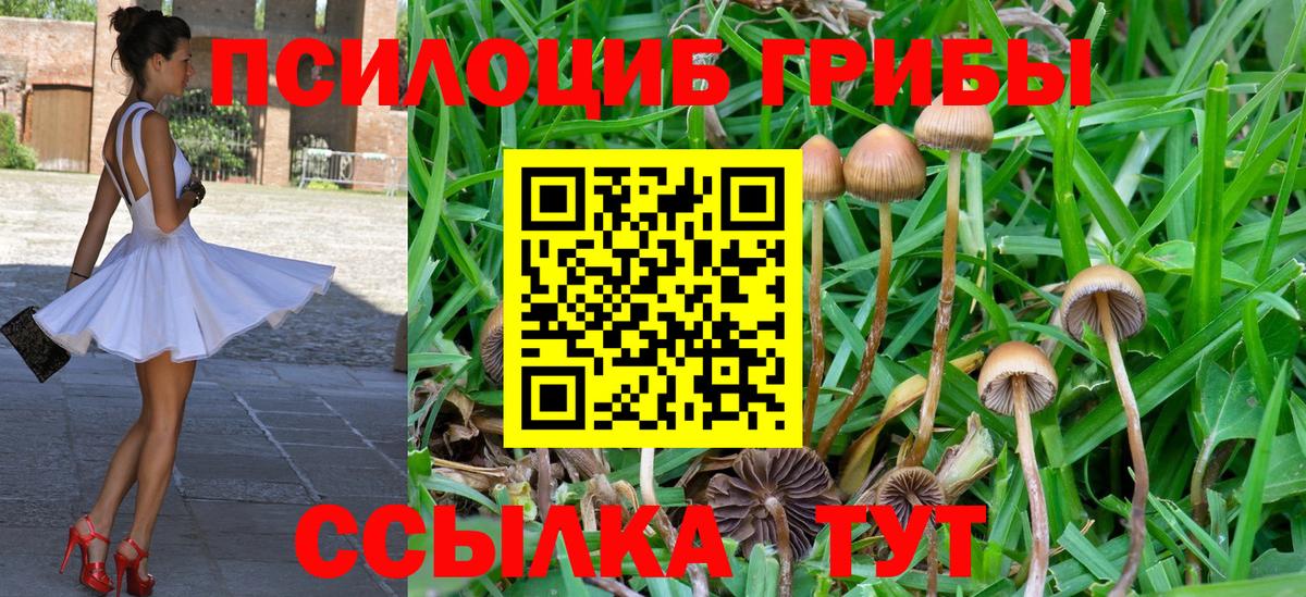 МАРИХУАНА  Cocaine  КЕТАМИН  ЭКСТАЗИ  ГАШИШ  Горно-Алтайск  ГАШИШ  Меф   LSD-25  MDMA  КОКАИН  Вход с VPN 
